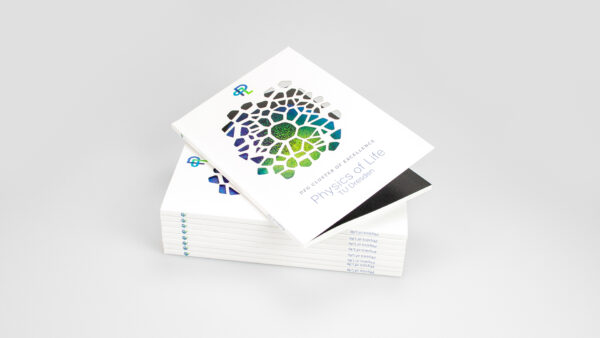 Klebebindung mit Laserstanzung